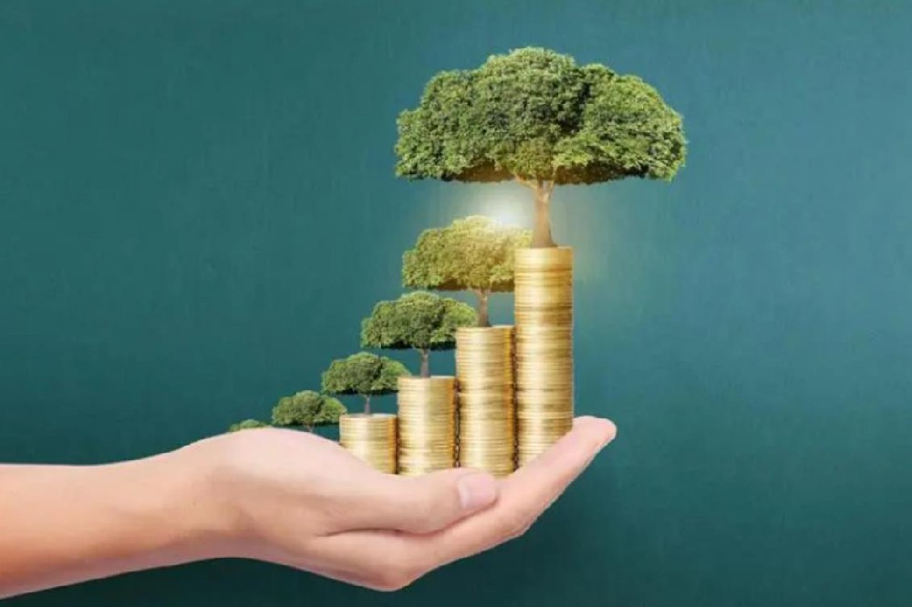 深圳民间空放私人借款全天候专业服务